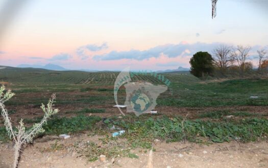 REF.24003 SE VENDE PARCELA RUSTICA EN BENAMEJI