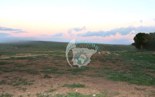 REF.24003 SE VENDE PARCELA RUSTICA EN BENAMEJI