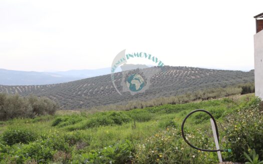 REF.ER24002 SE VENDE PARCELA DE 600 M2 EN ENCINAS REALES