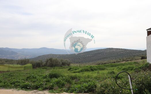 REF.ER24002 SE VENDE PARCELA DE 600 M2 EN ENCINAS REALES