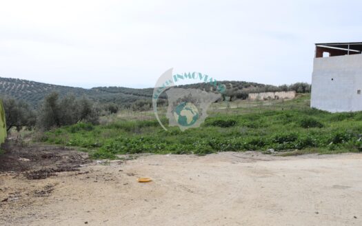 REF.ER24002 SE VENDE PARCELA DE 600 M2 EN ENCINAS REALES