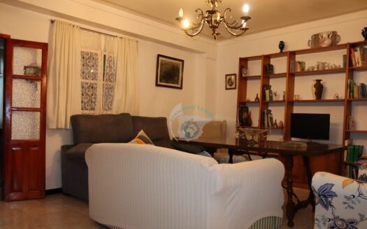 REF.24009 ¡¡¡ 2 EN 1, PISO MAS CASA EN BENAMEJÍ !!!