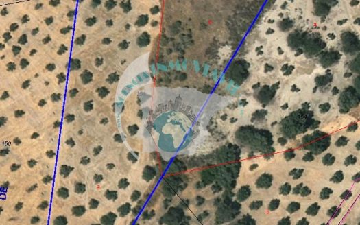 REF.CLO24001 VENTA DE FINCA OLIVAR EN CASTILLO DE LOCUBIN, JAEN