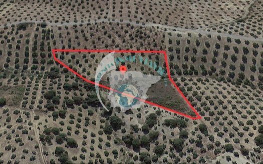 REF.CLO24001 VENTA DE FINCA OLIVAR EN CASTILLO DE LOCUBIN, JAEN