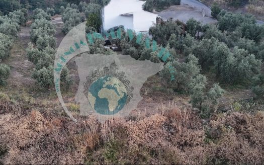 REF.24012 VENTA DE CHALET + FINCA OLIVAR