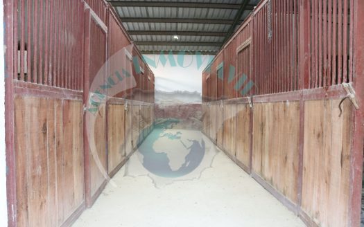 Ref. DP25001 – Finca rústica con licencia de explotación, depósitos, luz y agua de red, pozo y 9.042 m² de parcela (Lucena – Córdoba)
