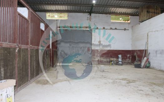 Ref. DP25001 – Finca rústica con licencia de explotación, depósitos, luz y agua de red, pozo y 9.042 m² de parcela (Lucena – Córdoba)