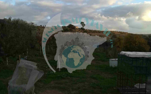 REF.26011 Parcela rústica agraria de 5.800 m² en Benamejí con casa de aperos y acceso asfaltado