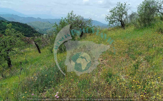 REF.CBJ26003 Venta de parcela rústica de 6.500 m² en Casabermeja – Entorno natural