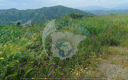 REF.CBJ26003 Venta de parcela rústica de 6.500 m² en Casabermeja – Entorno natural